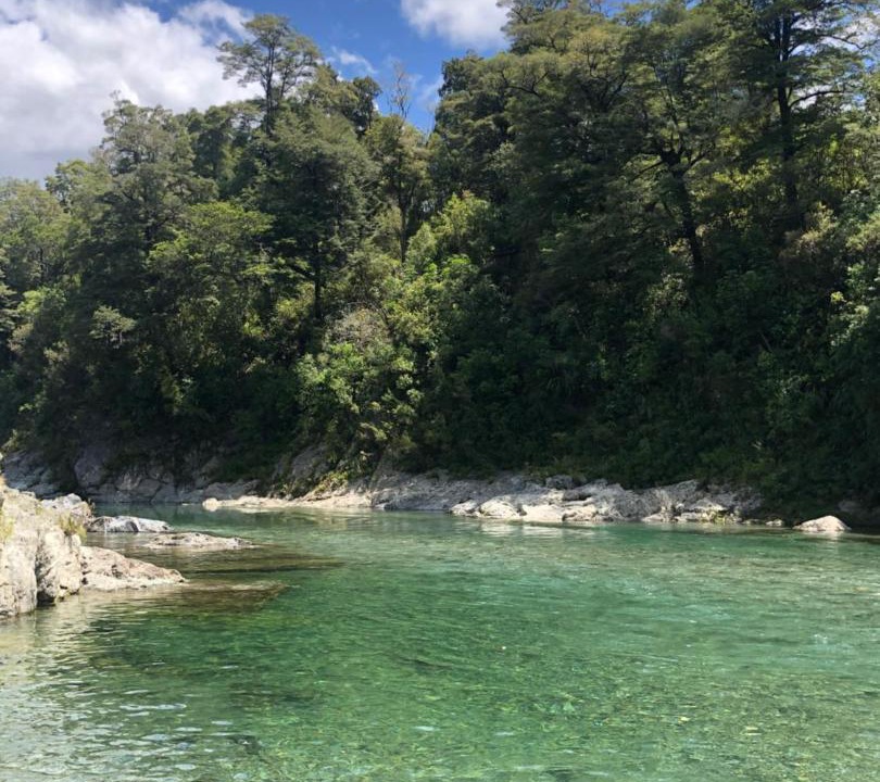 Photo of Outdoor in Shakespeare Bay