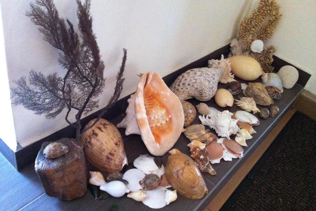 Photo of Others in Pontian