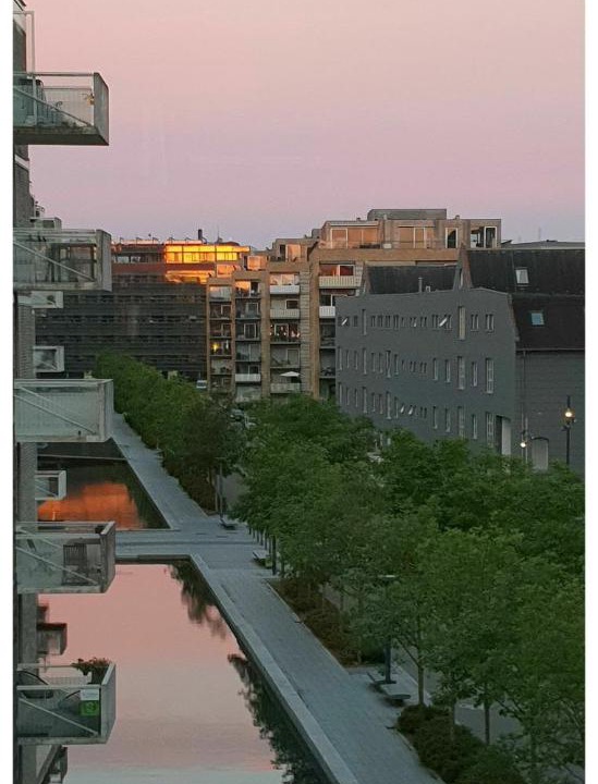 Photo of Others in Amager