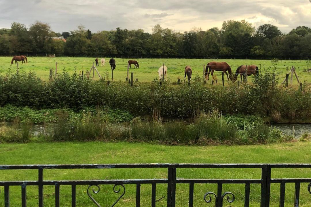 Photo of Others in Pernois