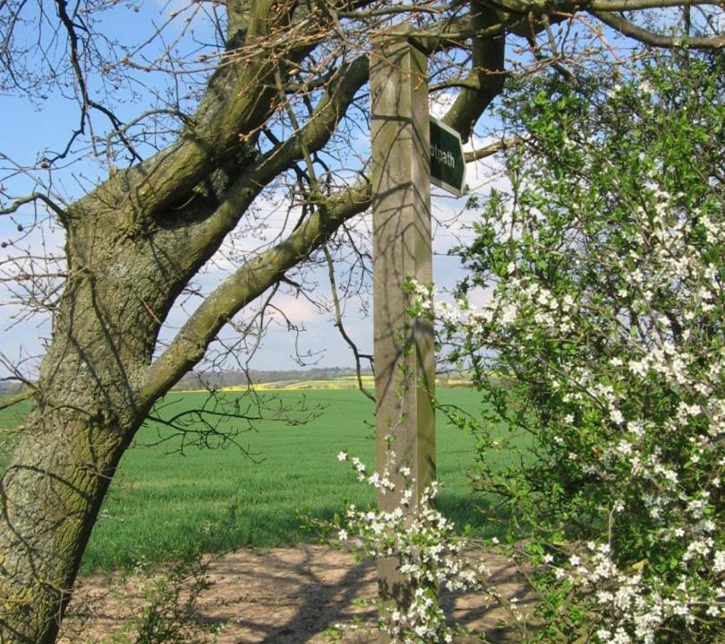 Photo of Others in Glemsford