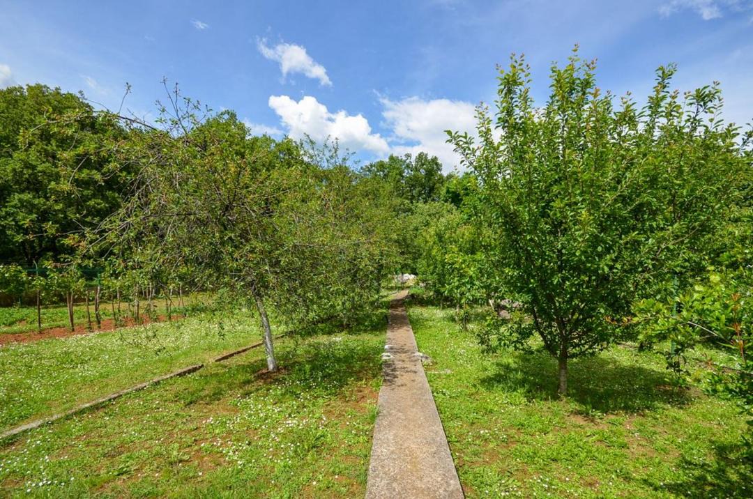 Photo of Outdoor in Opric