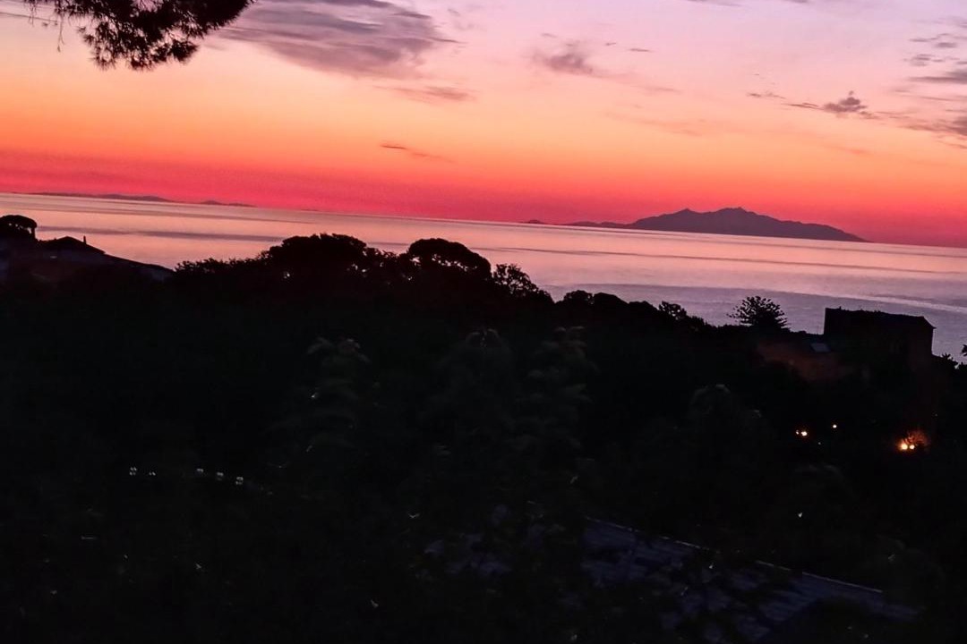 Photo of Others in Erbalunga