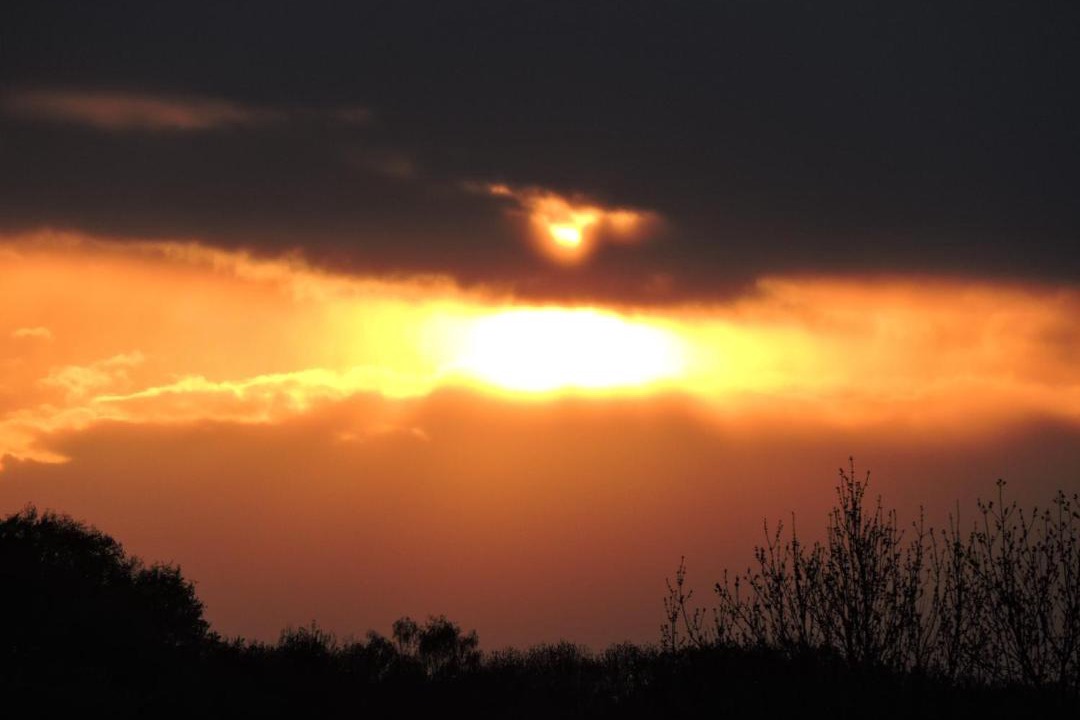 Photo of Others in Connigis