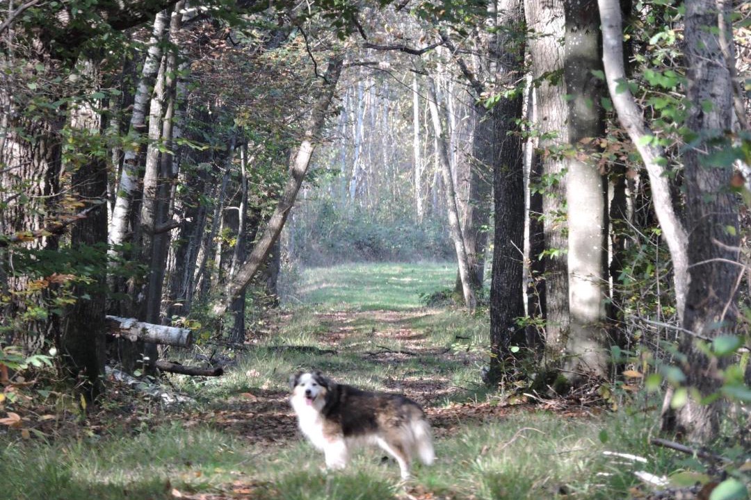 Photo of Others in Connigis