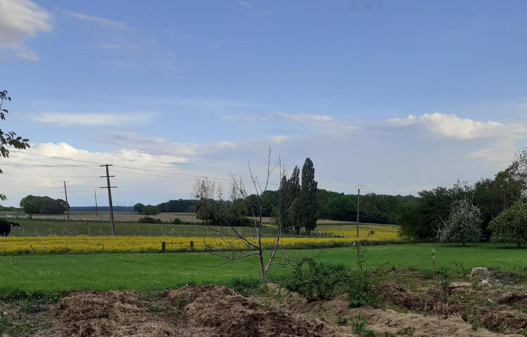 Photo of Others in Montmirail