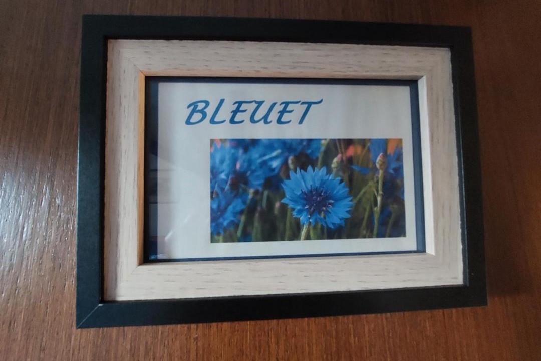 Photo of Others in Naveil