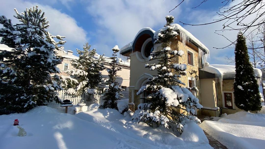 Photo of Buildings in Palitsy