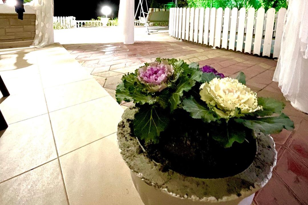 Photo of Patio Balcony in Uch-Dere