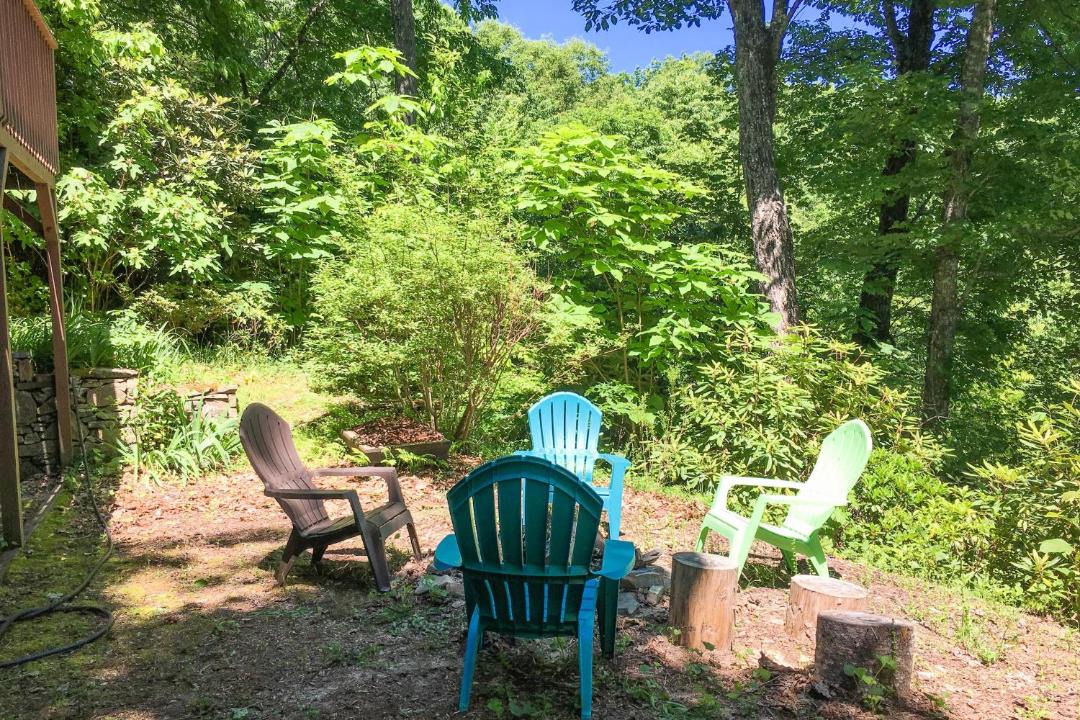 Photo of Others in Pisgah Forest