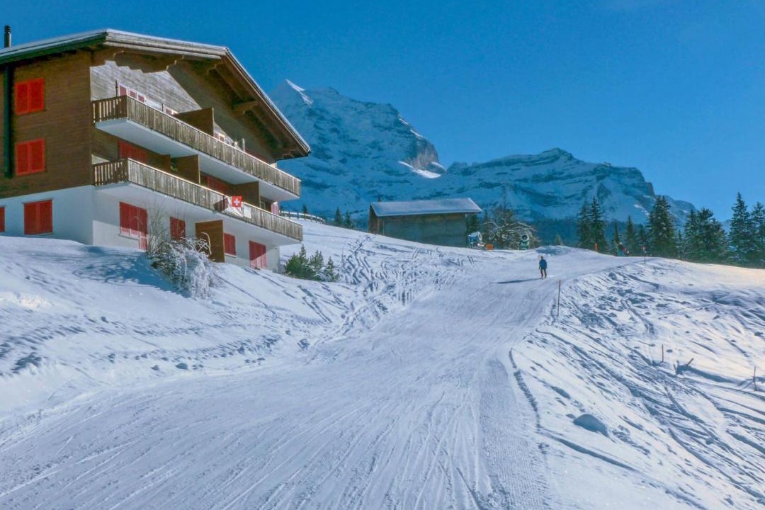 Photo of Others in Wengen