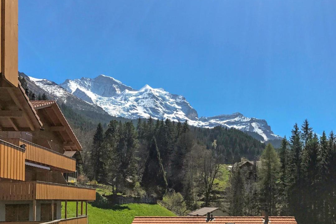 Photo of Others in Wengen
