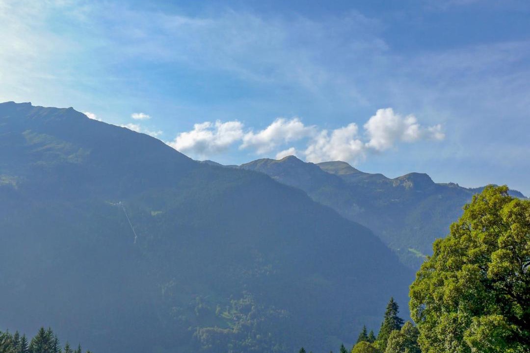 Photo of Others in Wengen
