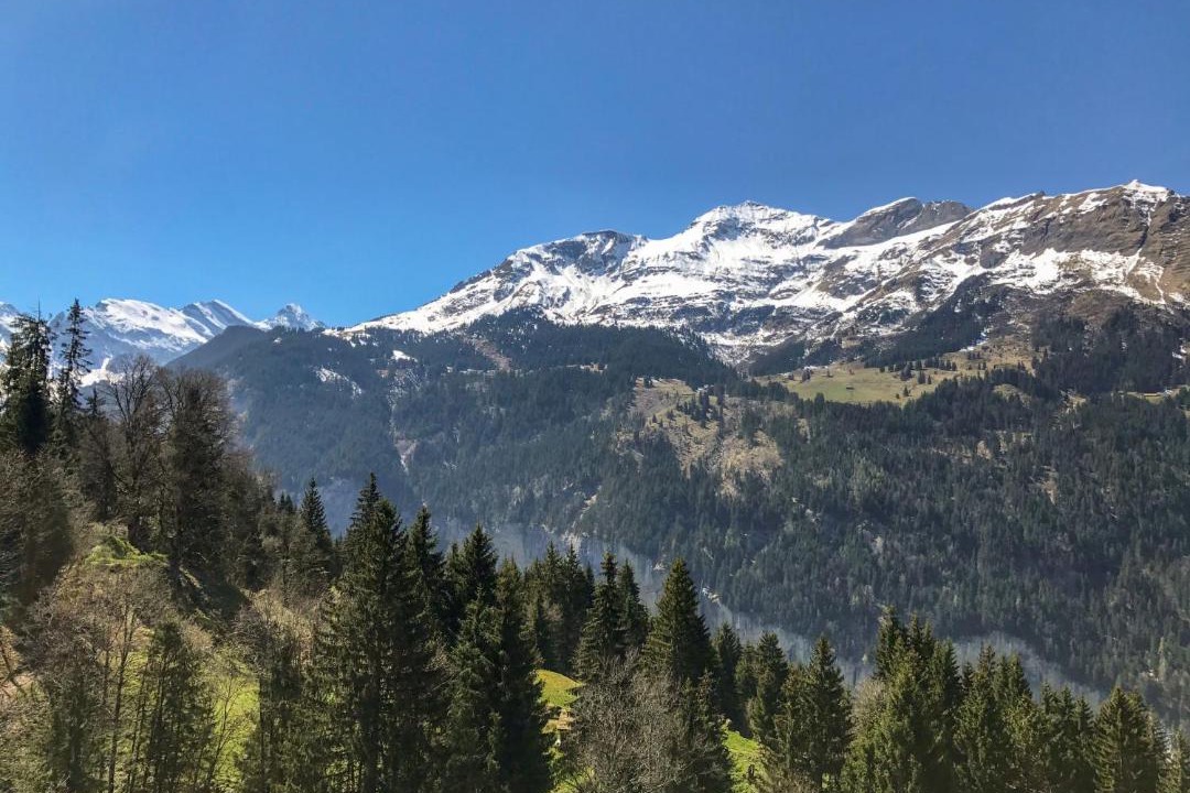 Photo of Outdoor in Wengen