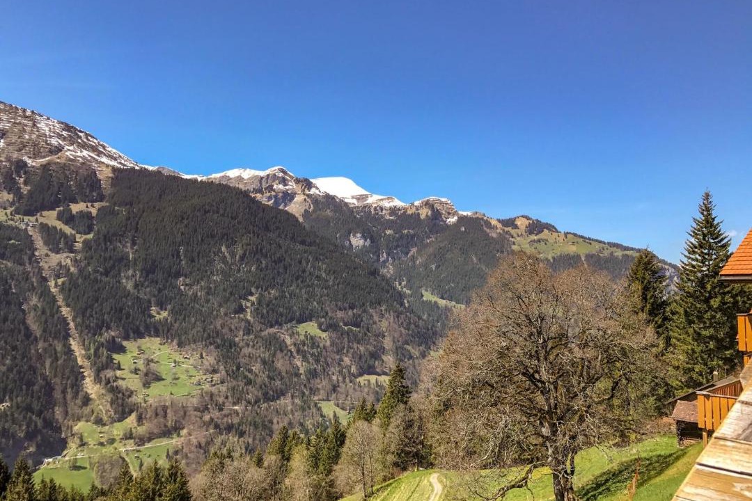 Photo of Others in Wengen