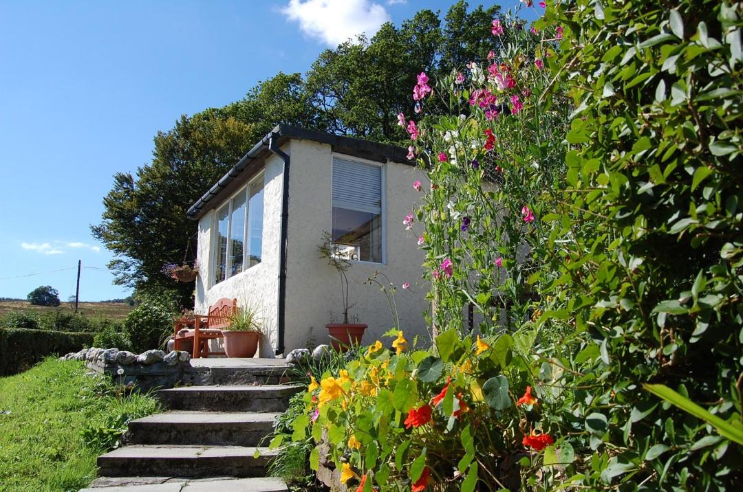 Photo of Buildings in Alexandria