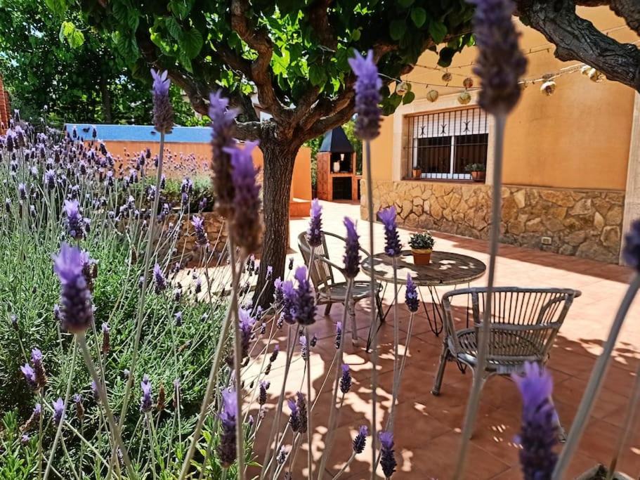 Photo of Patio Balcony in Costa Cunit