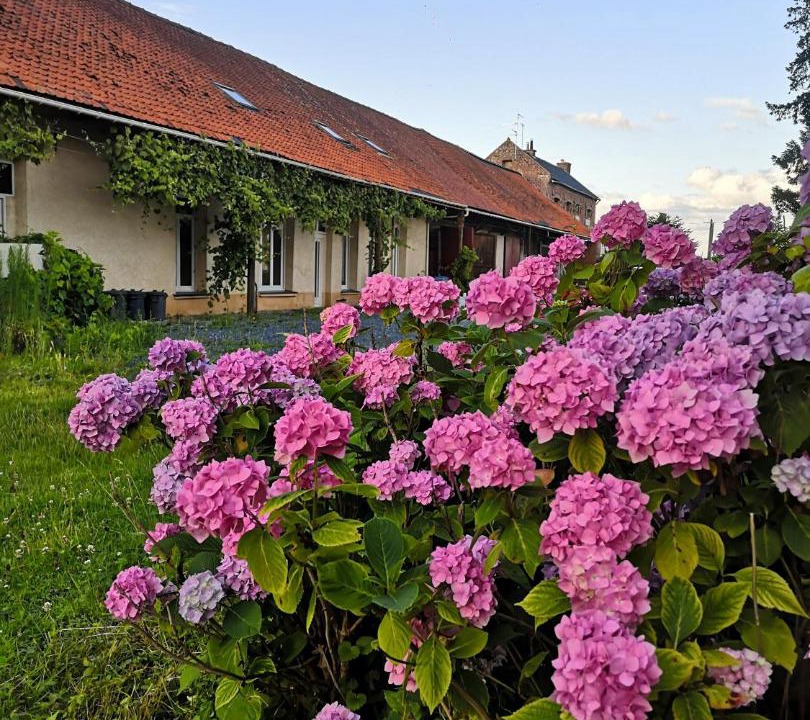 Photo of Others in Hornaing