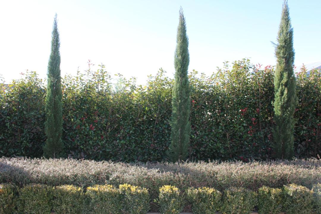 Photo of Outdoor in Renwick