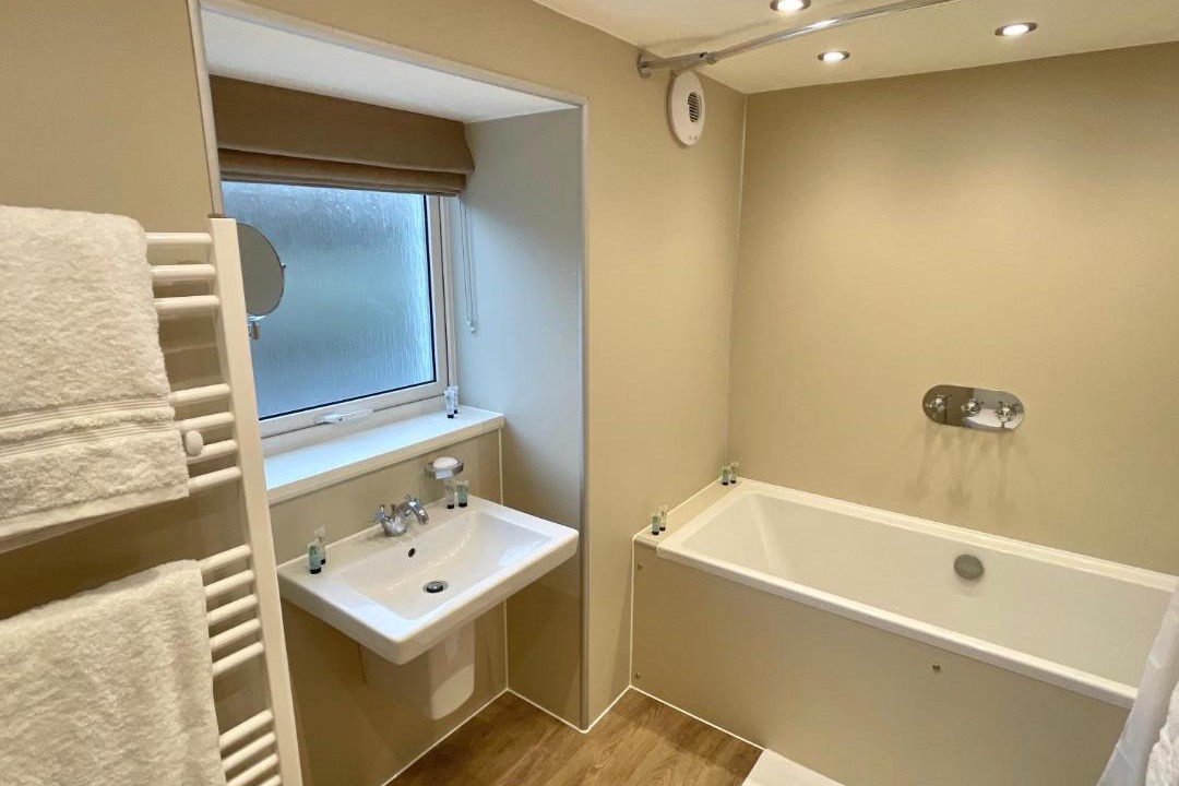 Photo of Others in Tongue