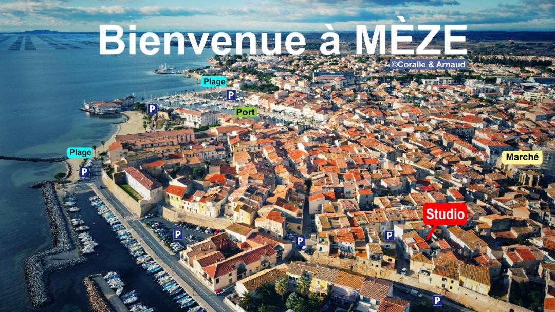 Photo of Others in Meze