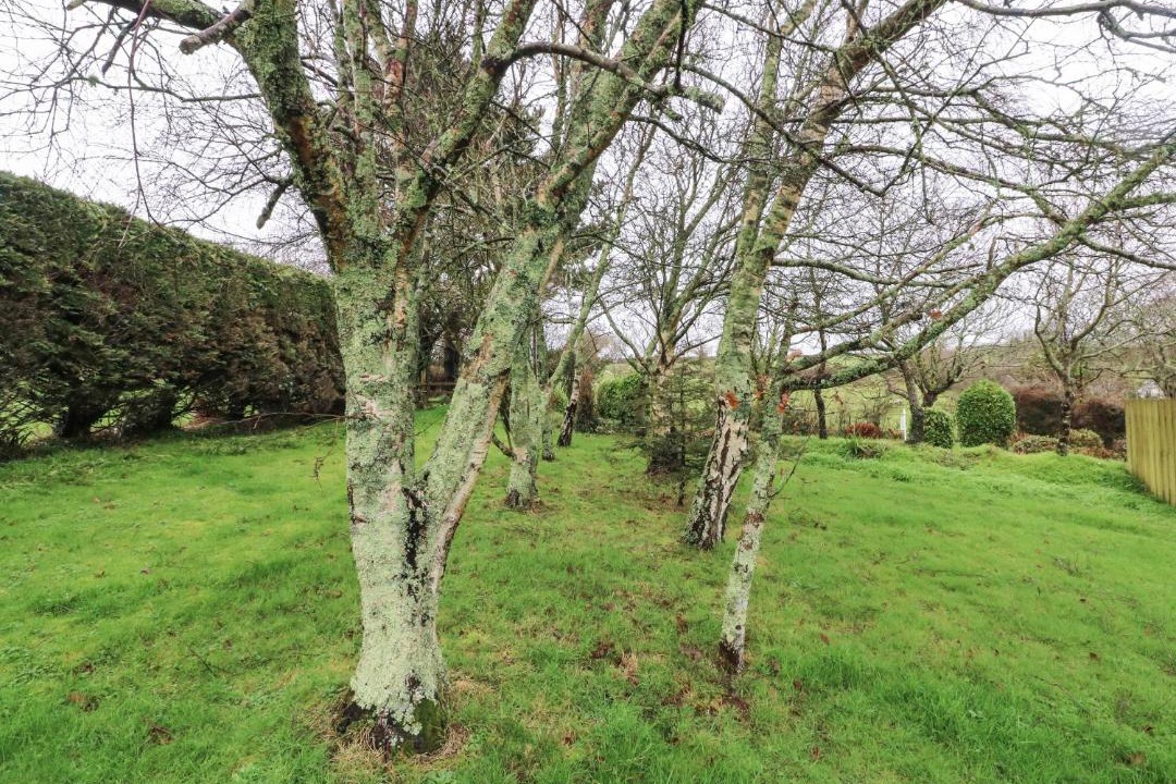 Photo of Others in Bude