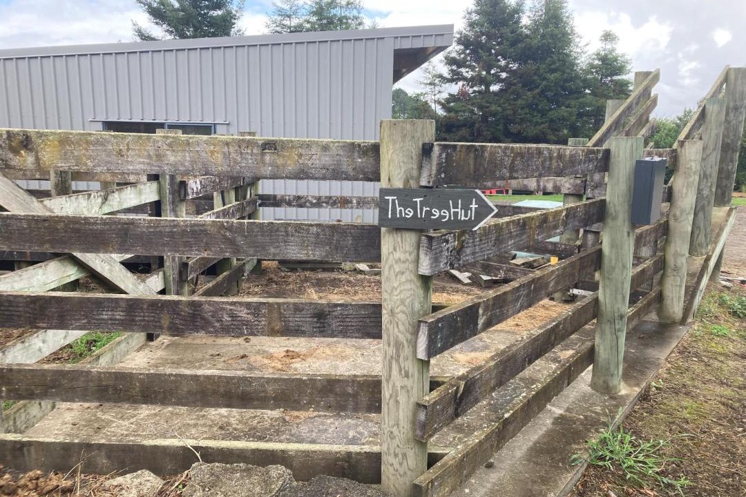 Photo of Others in Ohauiti