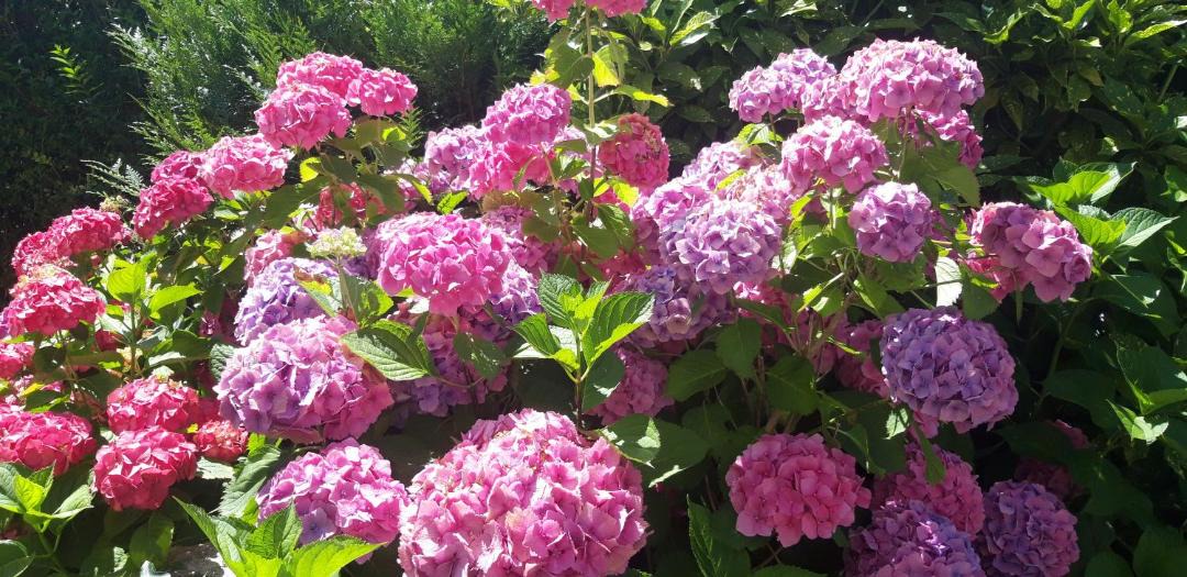 Photo of Others in Ploermel