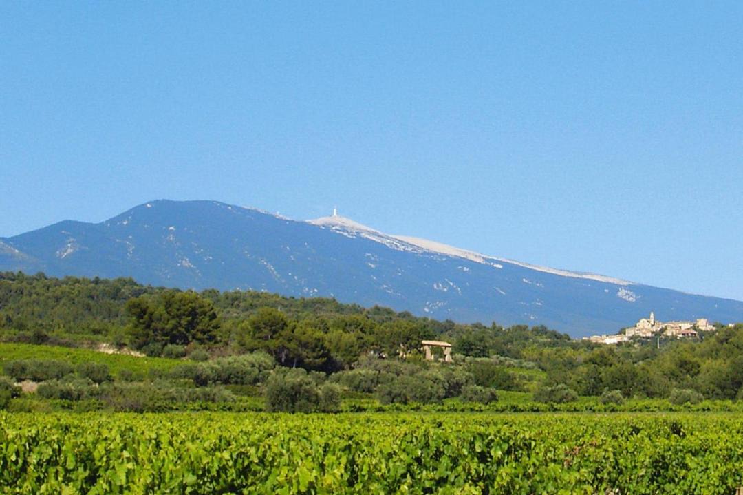 Photo of Outdoor in Bedoin