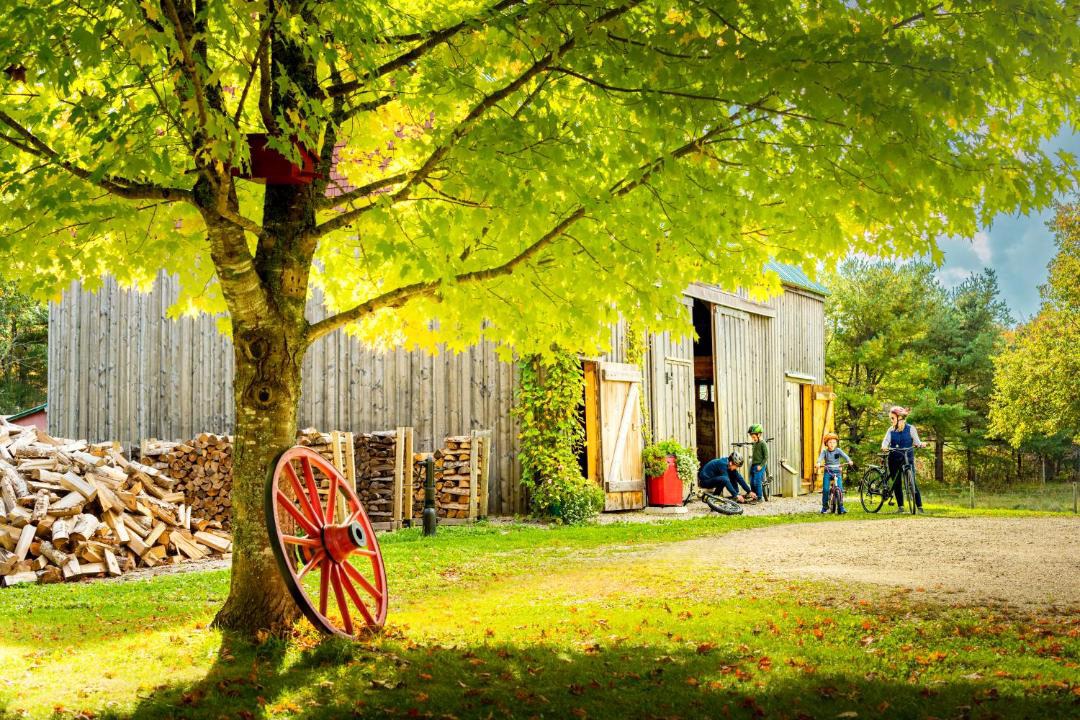 Photo of Others in Martins River