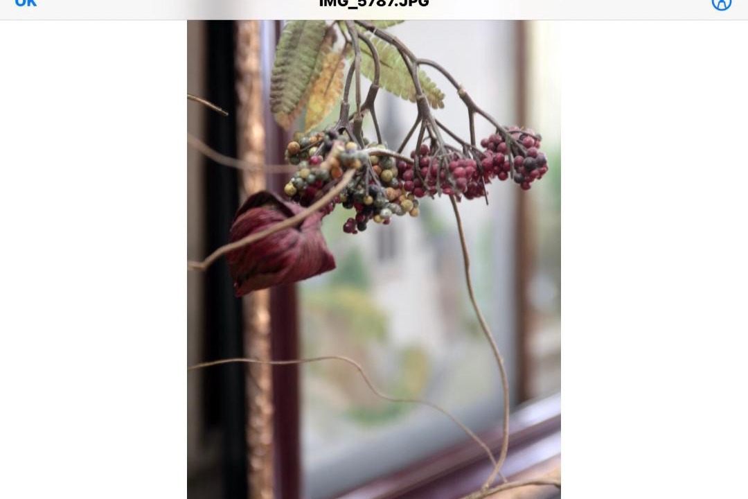 Photo of Others in Pontarlier