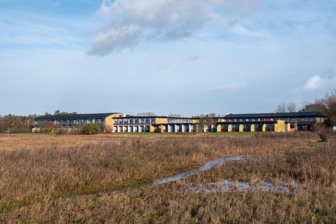 Photo of Others in Sklskr