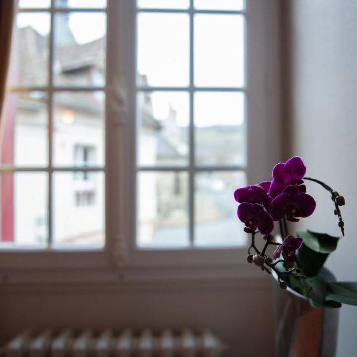 Photo of Others in Les Andelys