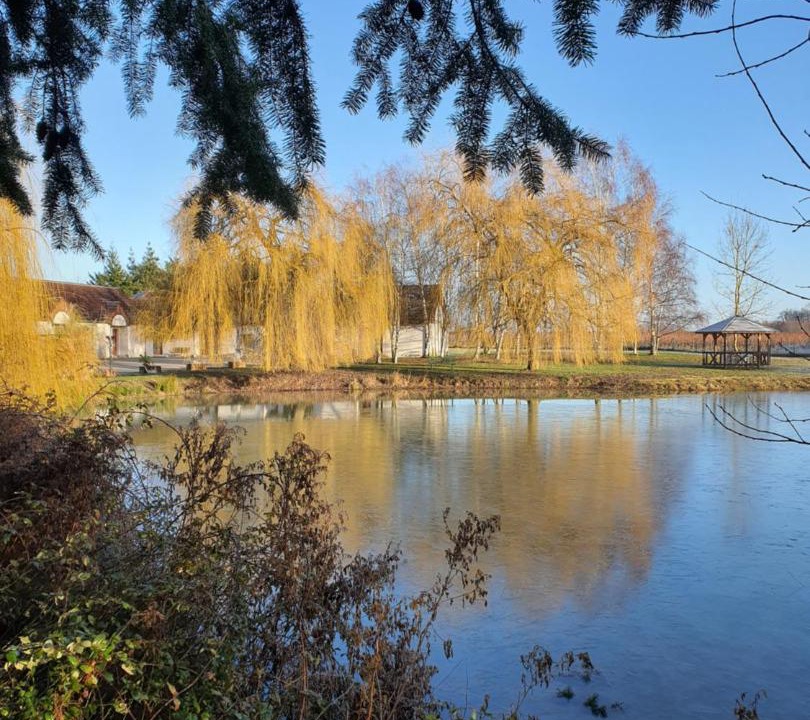 Photo of Others in Cheverny