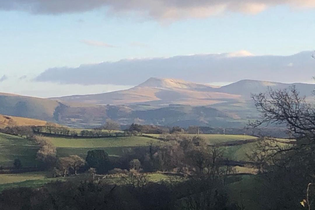 Photo of Others in Llandovery