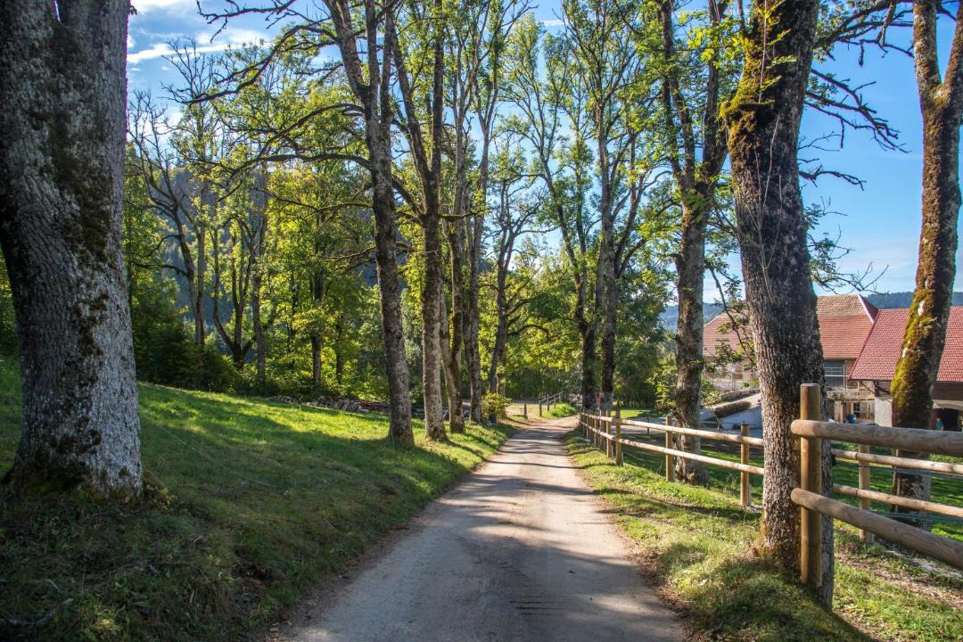 Photo of Others in Villers-le-Lac