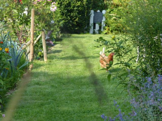 Photo of Others in Willeman