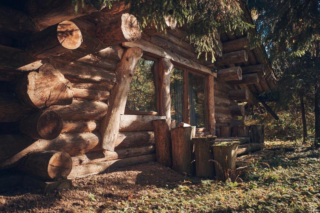 Photo of Others in Zvenigorod