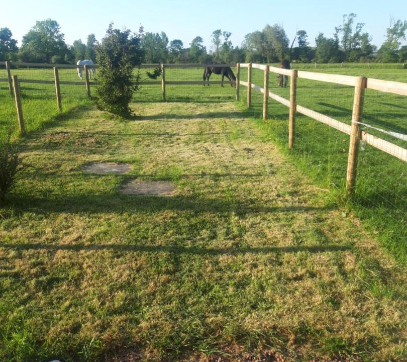 Photo of Others in Sarceaux