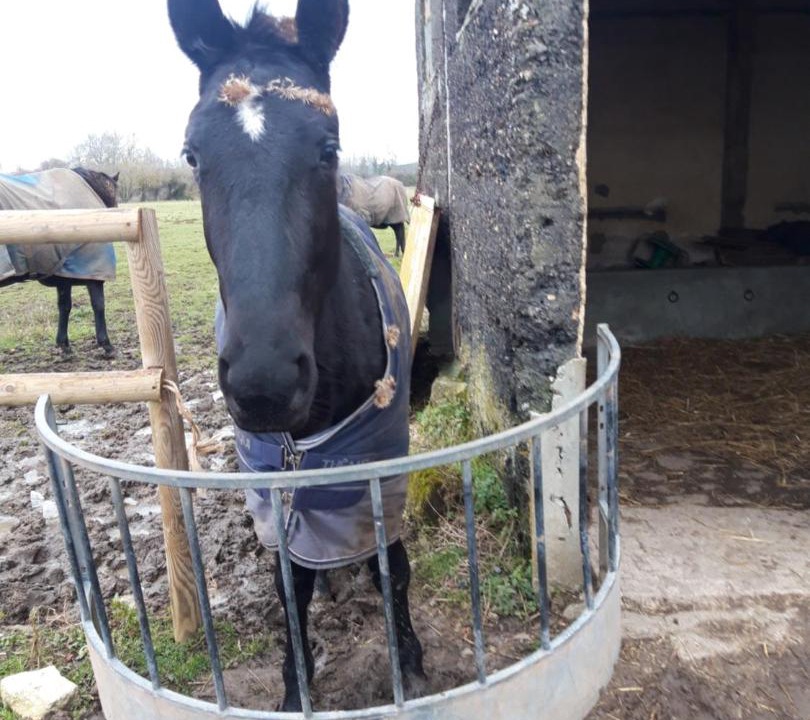 Photo of Others in Sarceaux