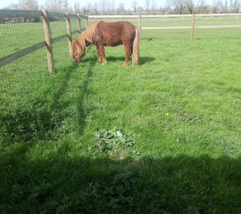 Photo of Others in Sarceaux