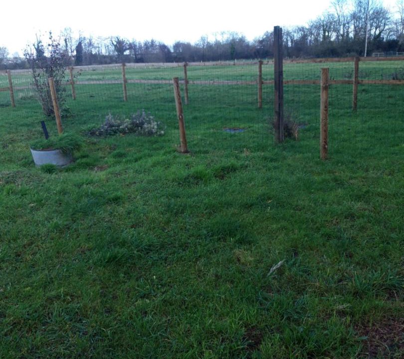 Photo of Outdoor in Sarceaux