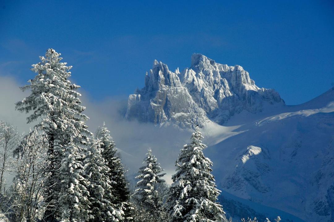 Photo of Others in Engelberg