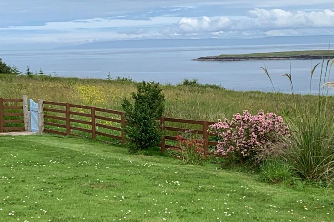 Photo of Others in Digg