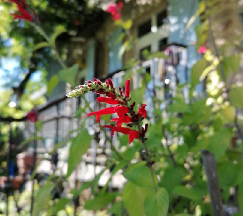 Photo of Others in Vabre-Tizac