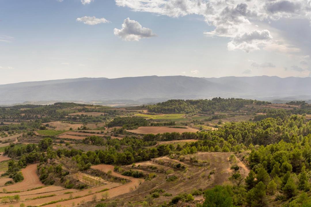 Photo of Others in Rocallaura