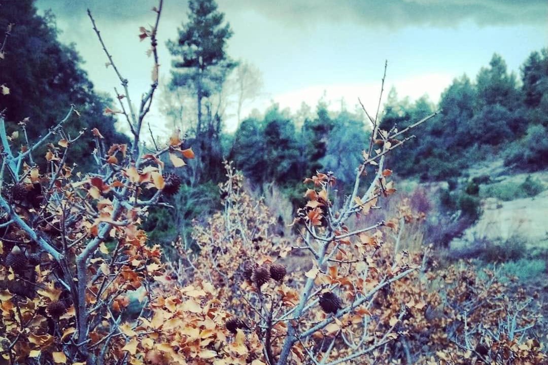 Photo of Others in Arnes