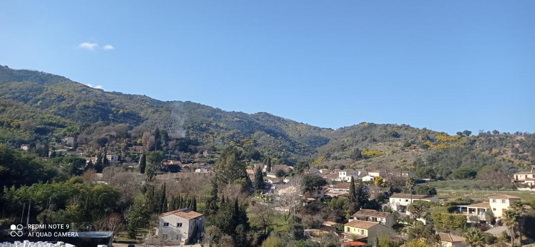 Photo of Others in Pegomas