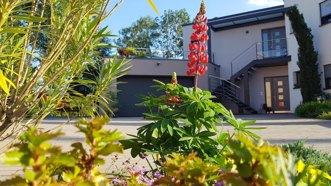 Photo of Others in Lampertheim