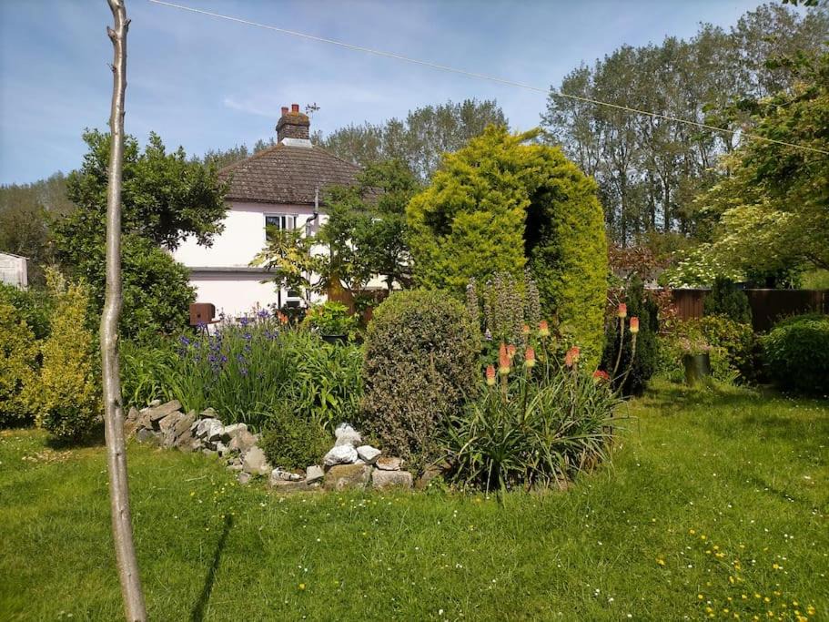 Photo of Outdoor in Pagham